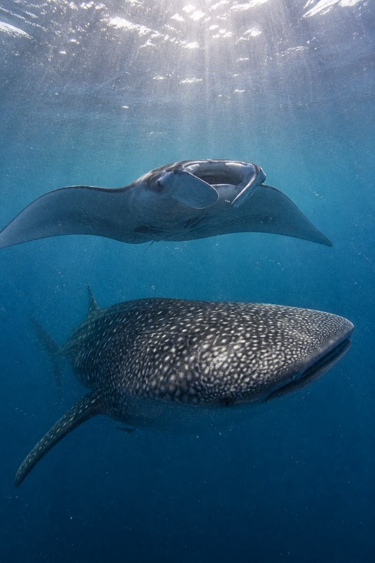 Baa Atoll